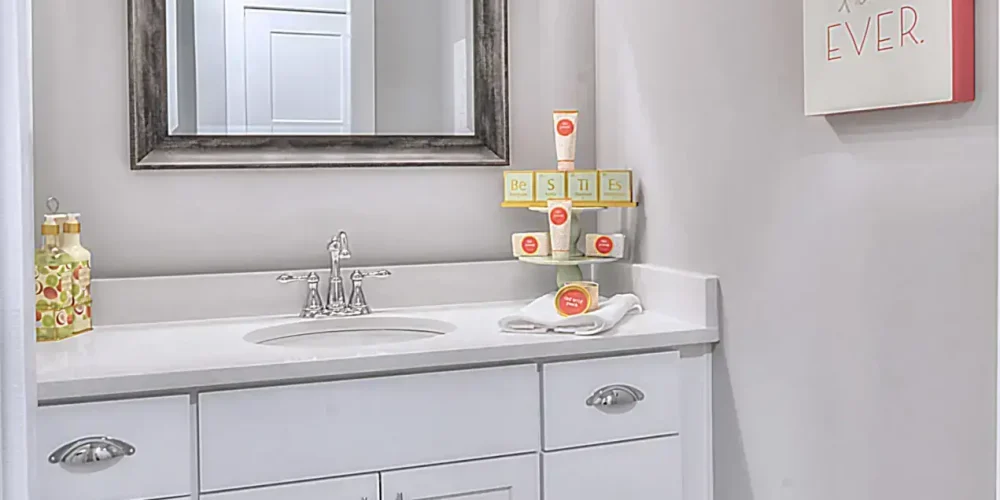 guest-bath-2_46640511342_o