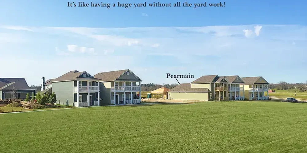 pearmain-park_46019546894_o