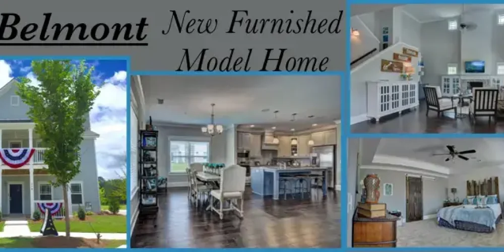 the-belmont-collage_31802431907_o